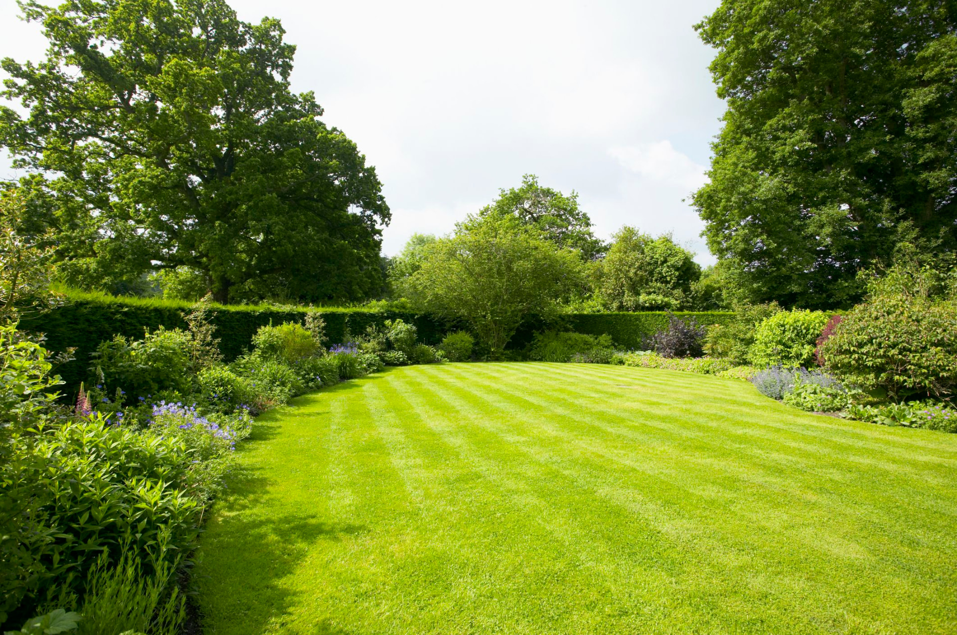 Garden Work